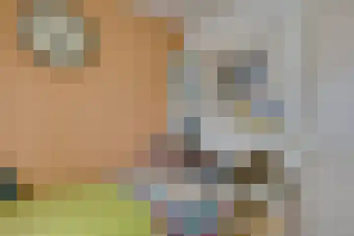 Oirschotsedijk 9001 Wintelre thumbnail 22
