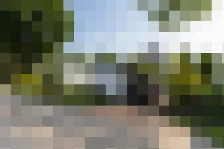 Oirschotsedijk 9001 Wintelre thumbnail 26