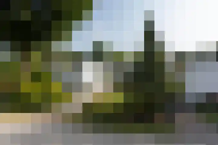 Oirschotsedijk 9001 Wintelre thumbnail 27