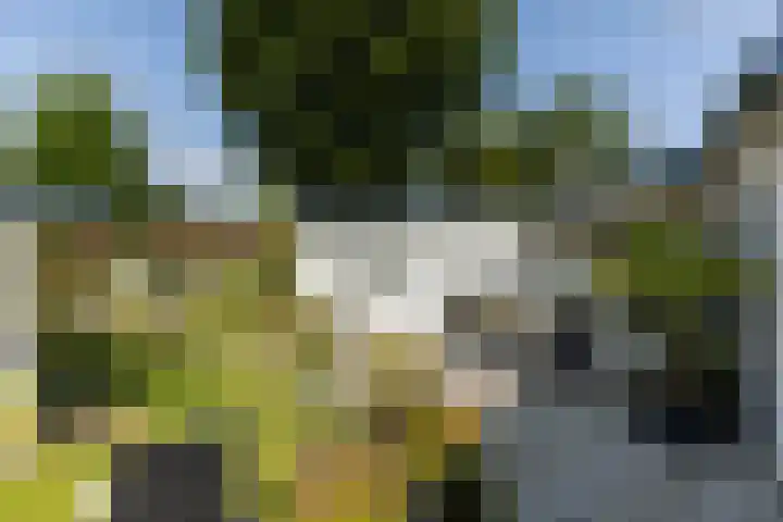 Oirschotsedijk 9001 Wintelre thumbnail 28
