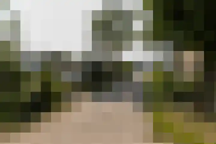 Oirschotsedijk 9001 Wintelre thumbnail 29