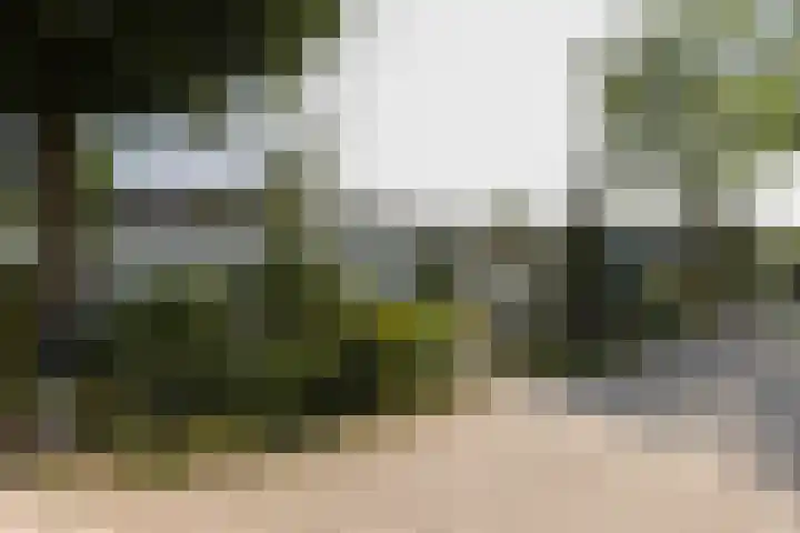 Oirschotsedijk 9001 Wintelre thumbnail 30