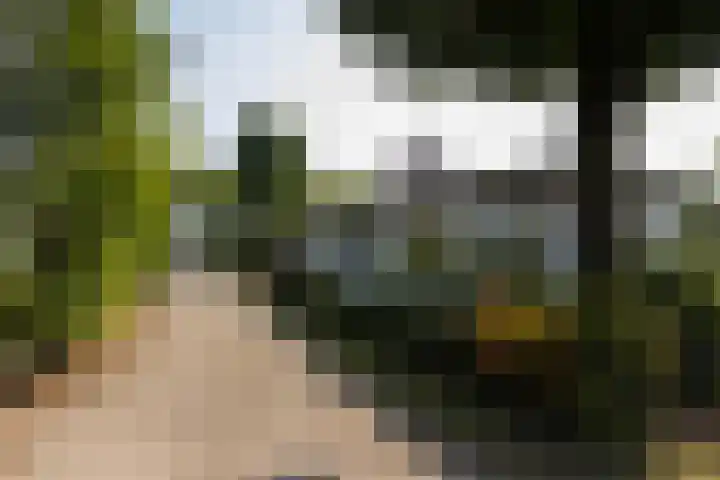 Oirschotsedijk 9001 Wintelre thumbnail 31