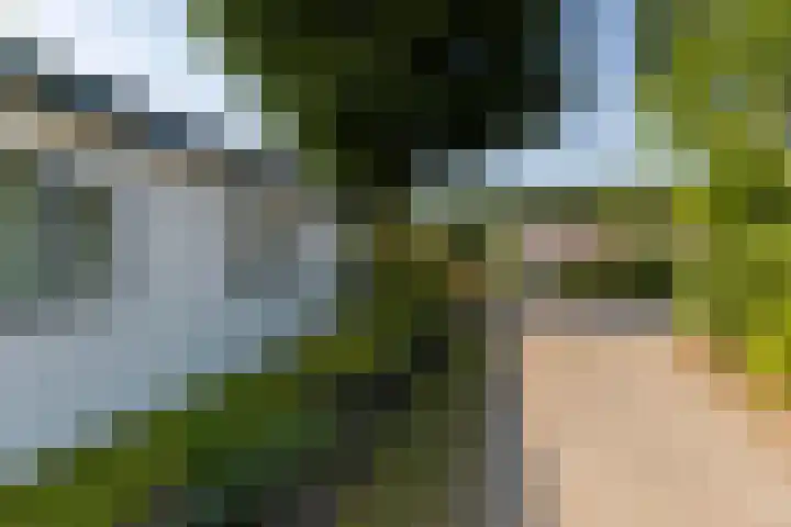 Oirschotsedijk 9001 Wintelre thumbnail 32