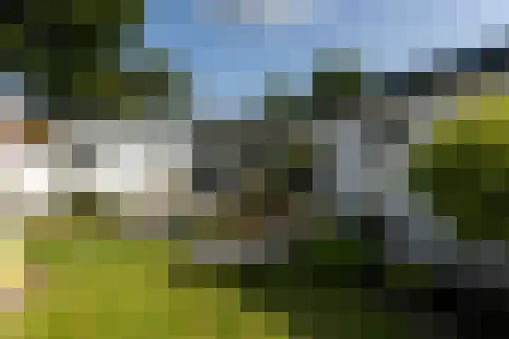 Oirschotsedijk 9001 Wintelre thumbnail 33