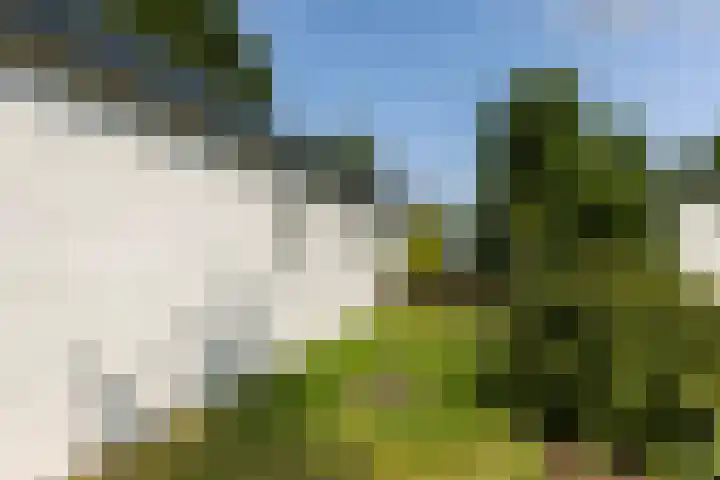 Oirschotsedijk 9001 Wintelre thumbnail 34