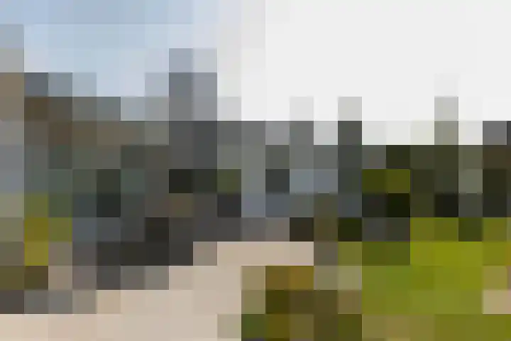 Oirschotsedijk 9001 Wintelre thumbnail 35