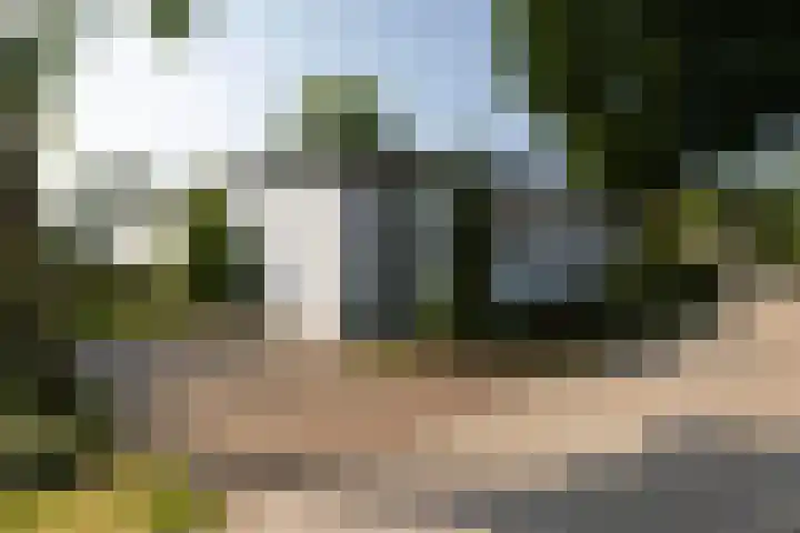 Oirschotsedijk 9001 Wintelre thumbnail 36