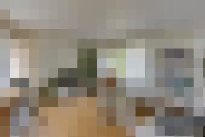 Oirschotsedijk 9001 Wintelre thumbnail 6