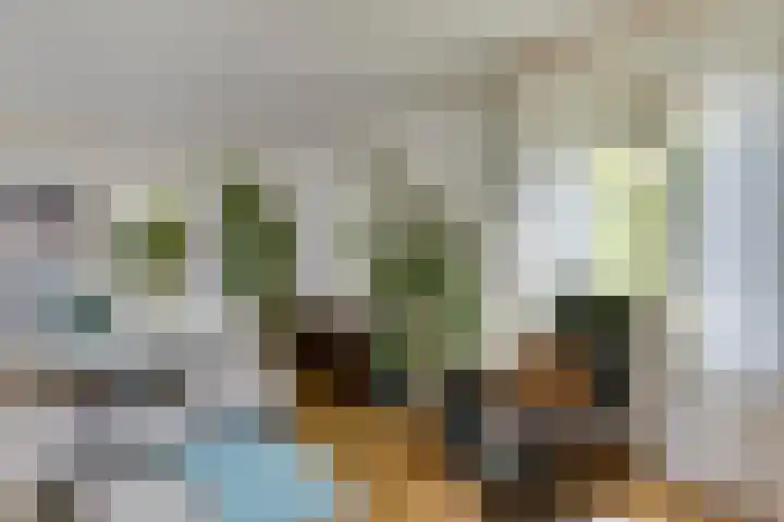 Oirschotsedijk 9001 Wintelre thumbnail 7