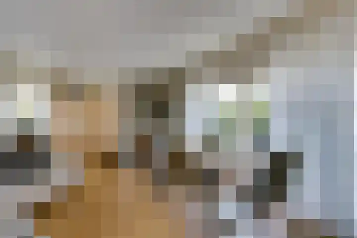 Oirschotsedijk 9001 Wintelre thumbnail 8
