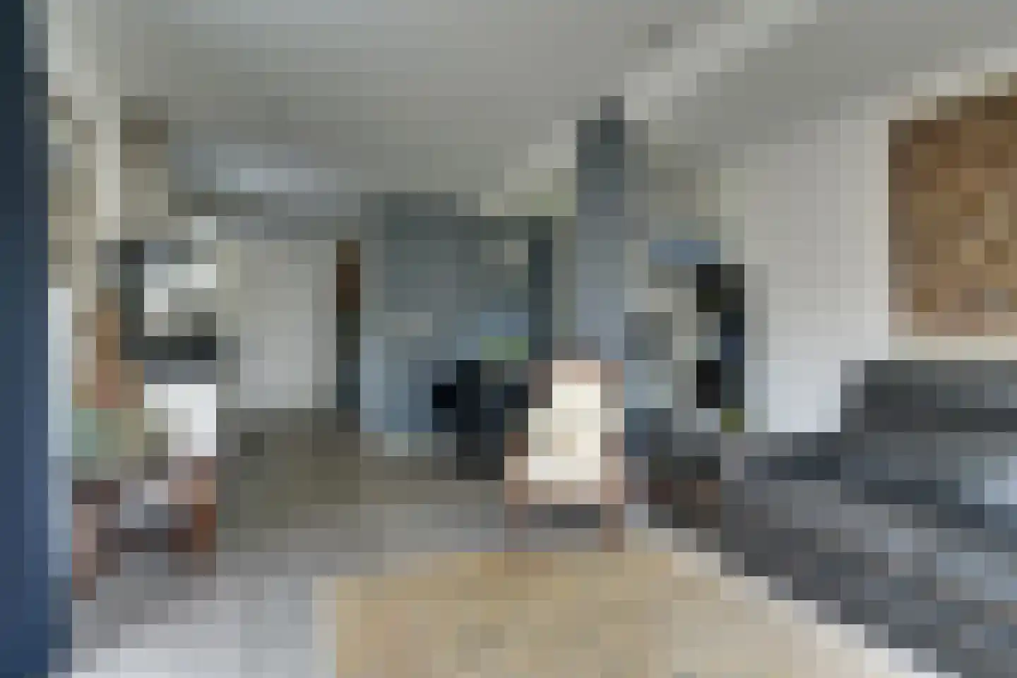 Oirschotsedijk 9050 Wintelre thumbnail 14