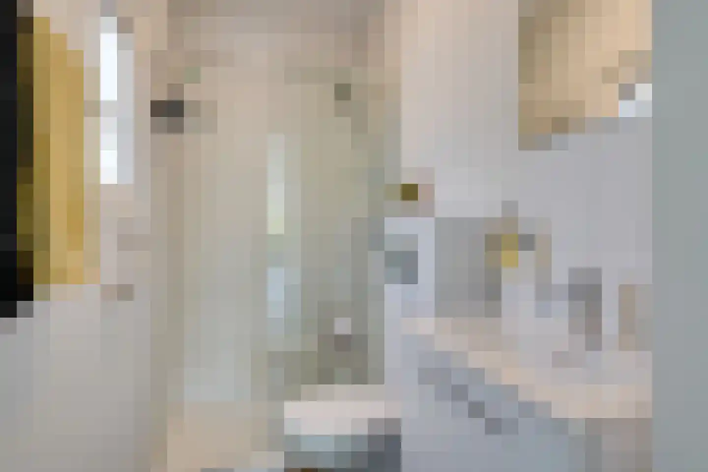 Oirschotsedijk 9050 Wintelre thumbnail 19