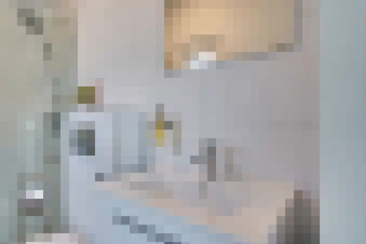 Oirschotsedijk 9050 Wintelre thumbnail 20
