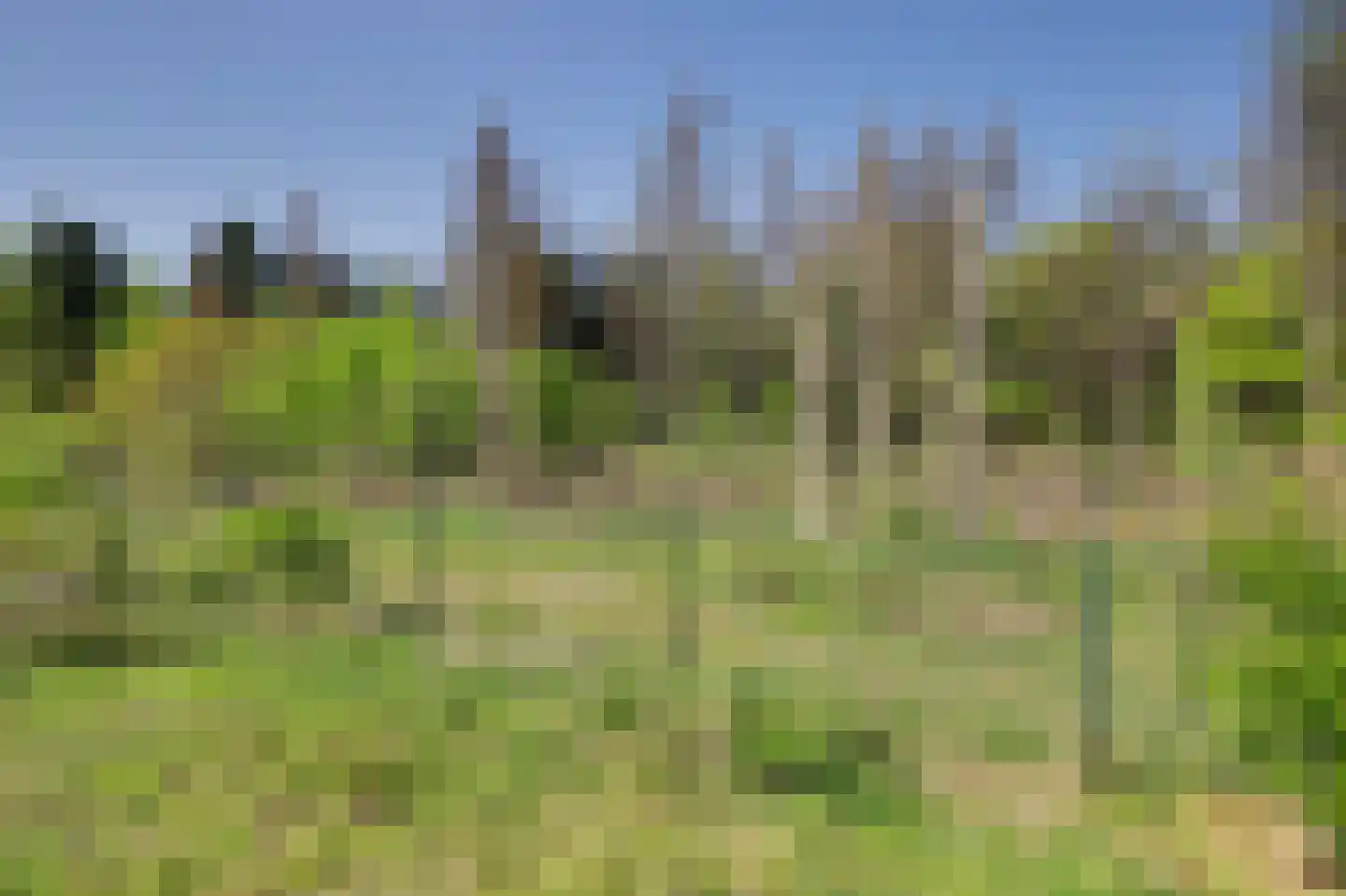 Oirschotsedijk 9080 Wintelre thumbnail 18