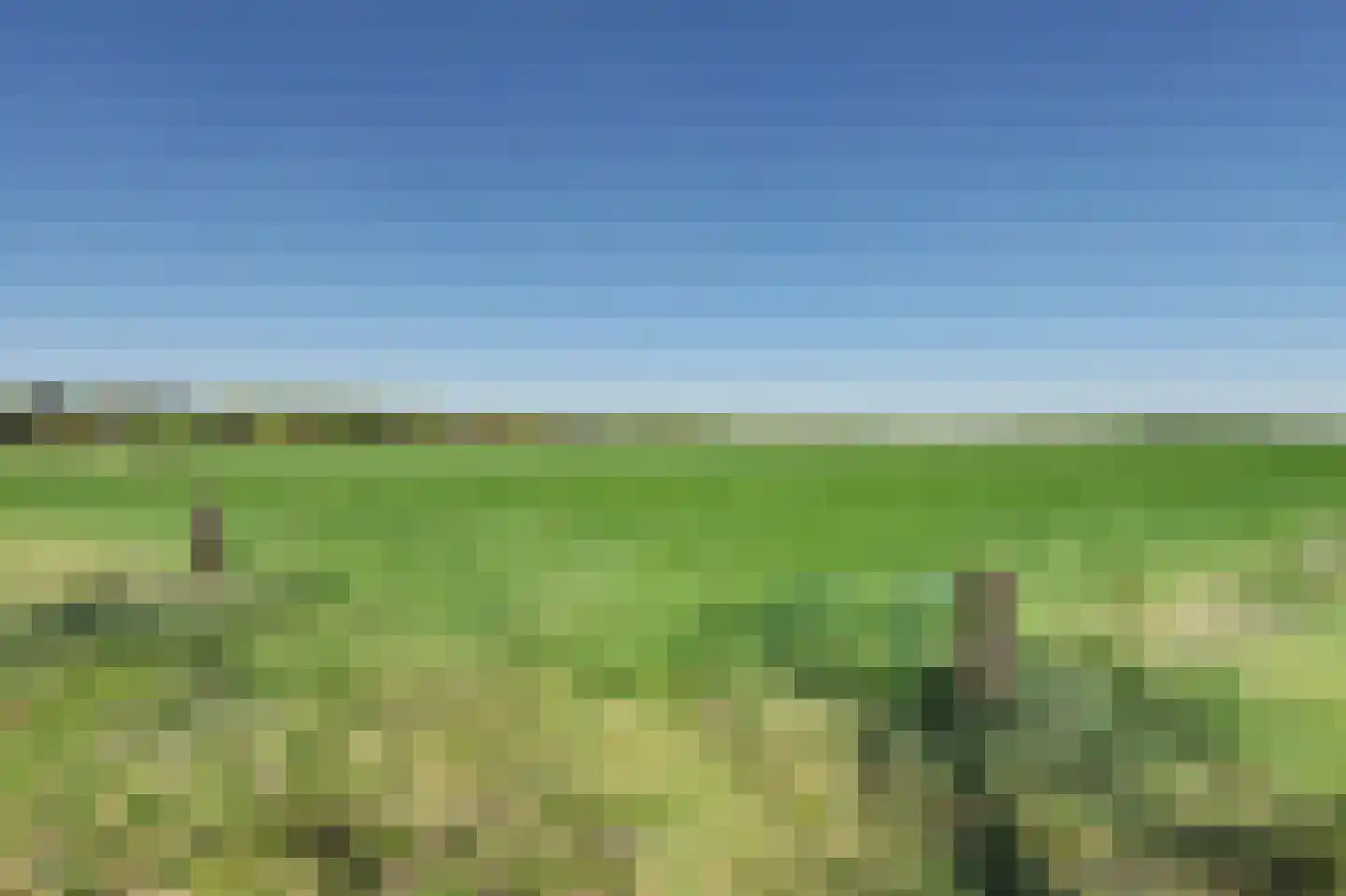 Oirschotsedijk 9080 Wintelre thumbnail 19