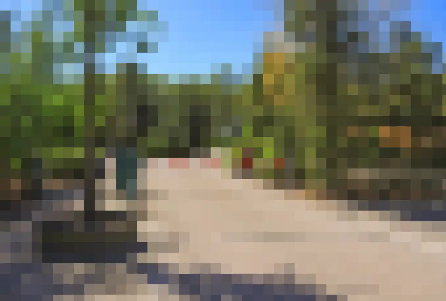 Oirschotsedijk 9080 Wintelre thumbnail 7