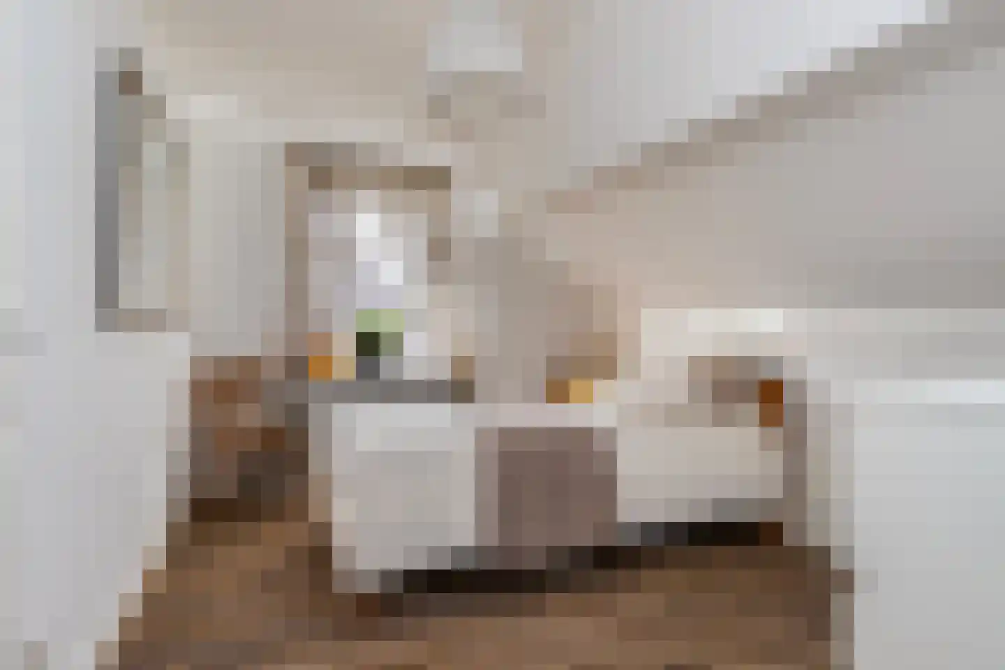 Oirschotseweg 26 Moergestel thumbnail 17