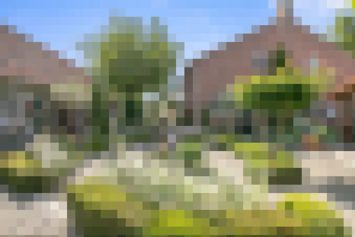 Oirschotseweg 26 Moergestel thumbnail 23