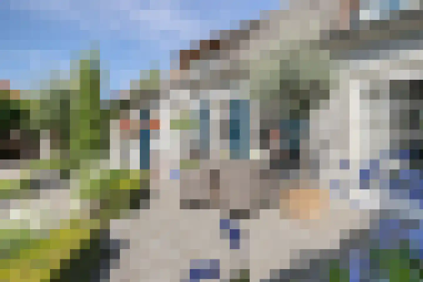 Oirschotseweg 26 Moergestel thumbnail 24