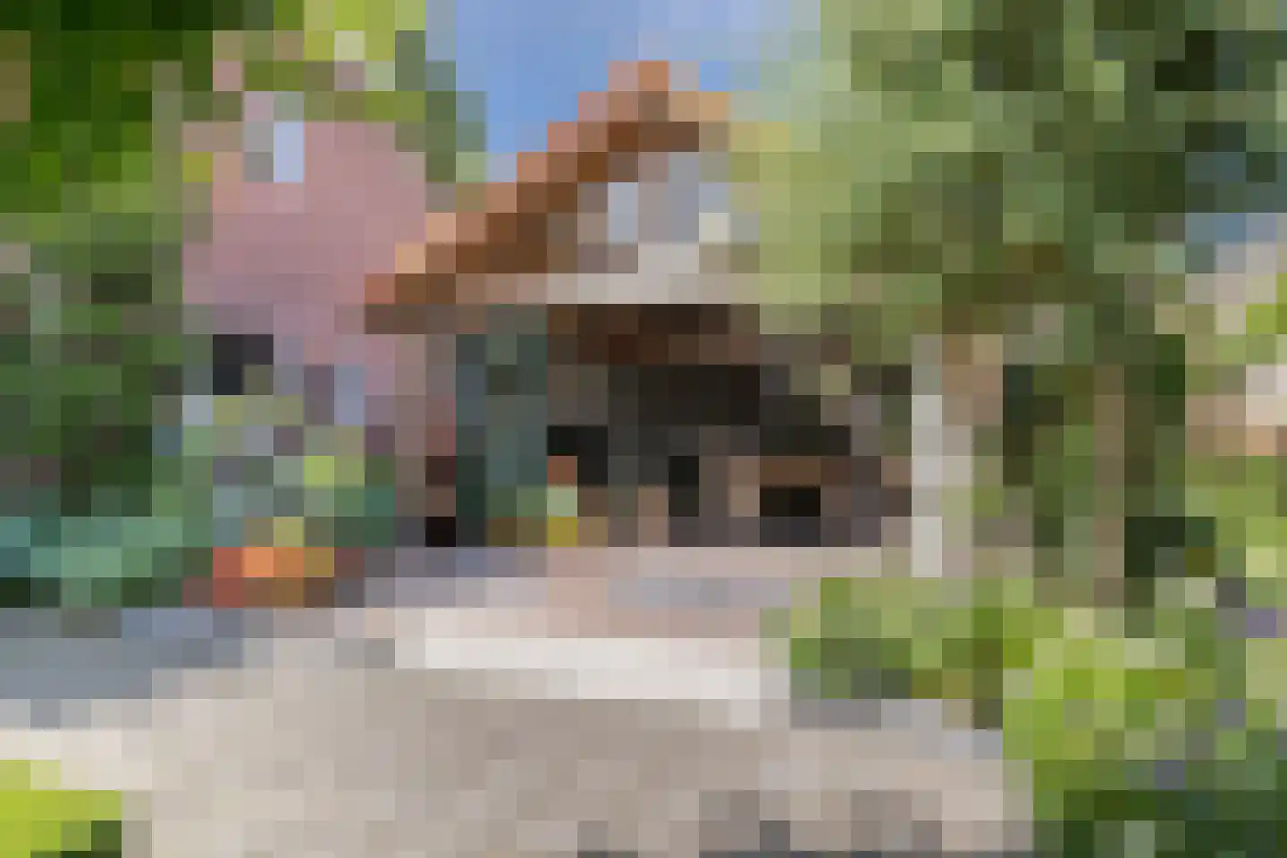 Oirschotseweg 26 Moergestel thumbnail 25