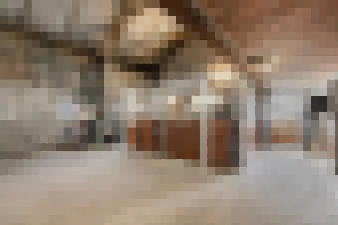 Oirschotseweg 26 Moergestel thumbnail 33