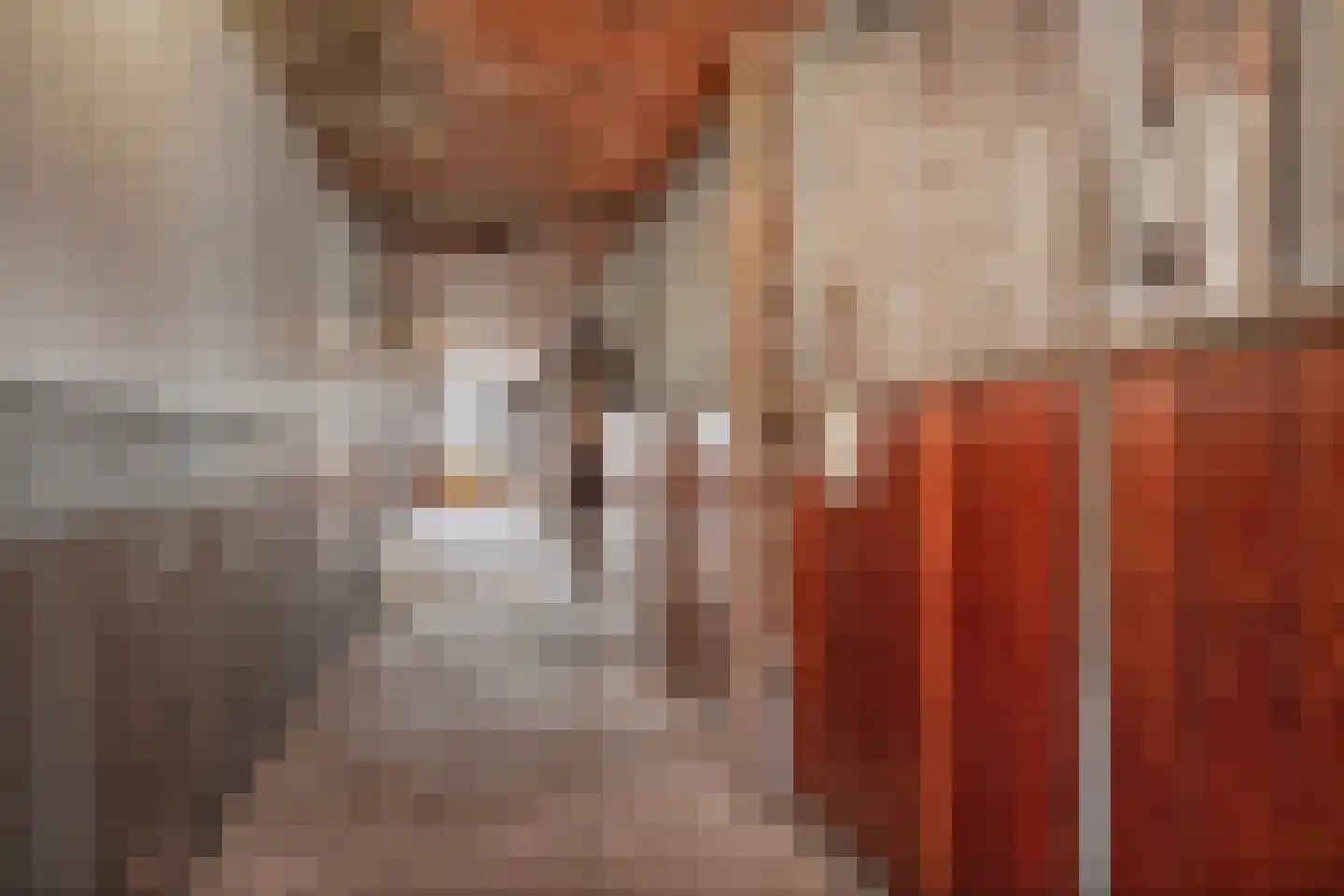 Oirschotseweg 26 Moergestel thumbnail 34