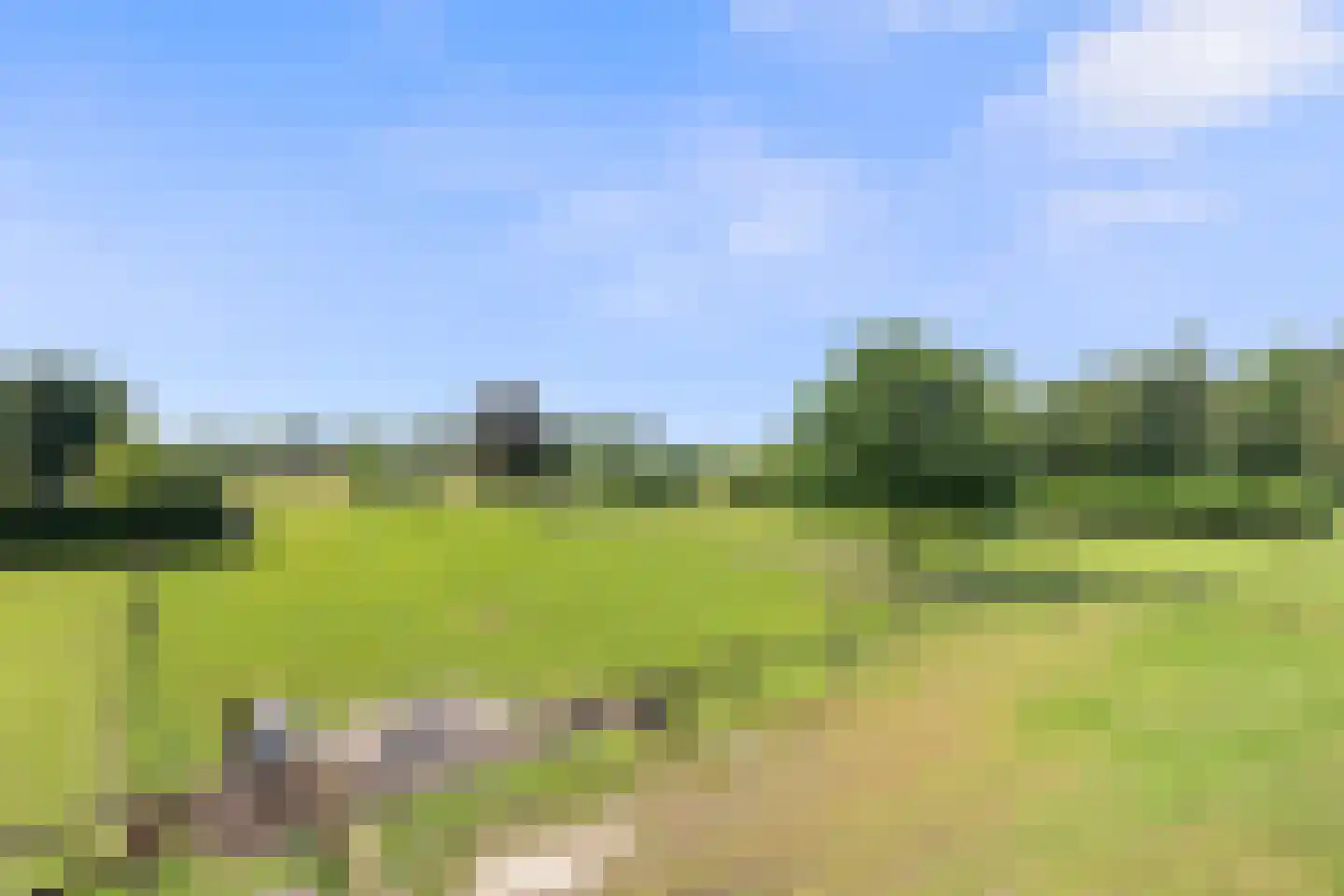Oirschotseweg 26 Moergestel thumbnail 40