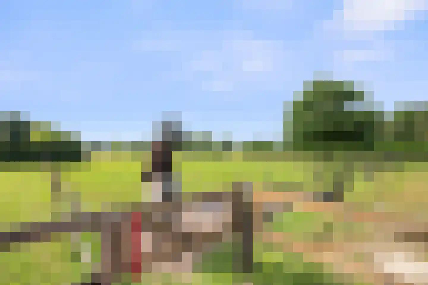 Oirschotseweg 26 Moergestel thumbnail 43