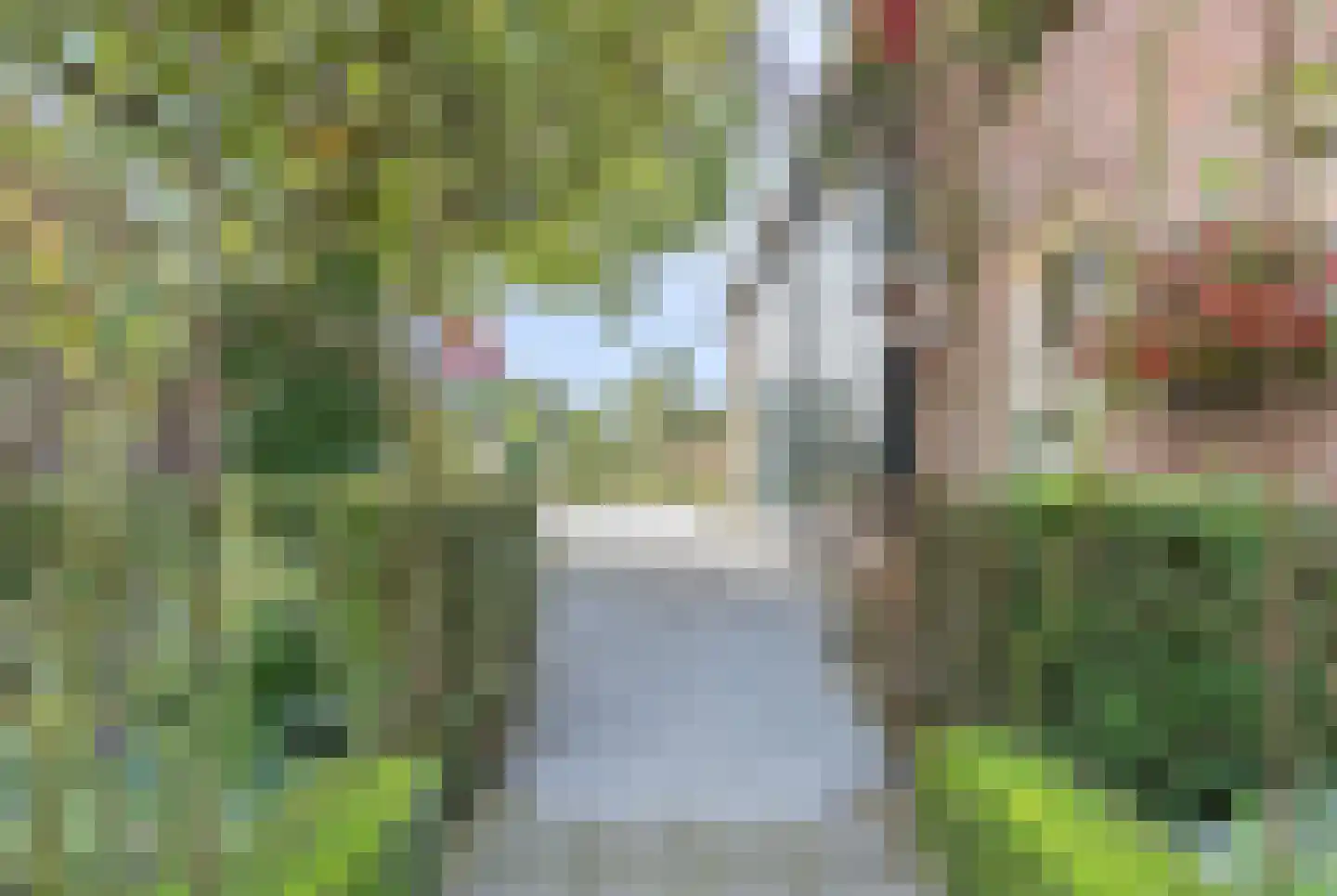 Oirschotseweg 26 Moergestel thumbnail 45