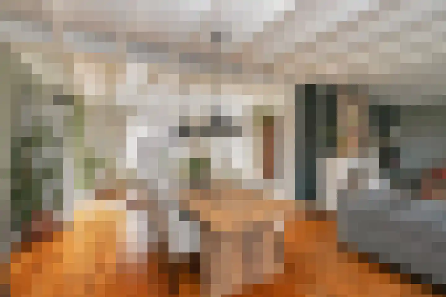 Oirschotseweg 26 Moergestel thumbnail 7