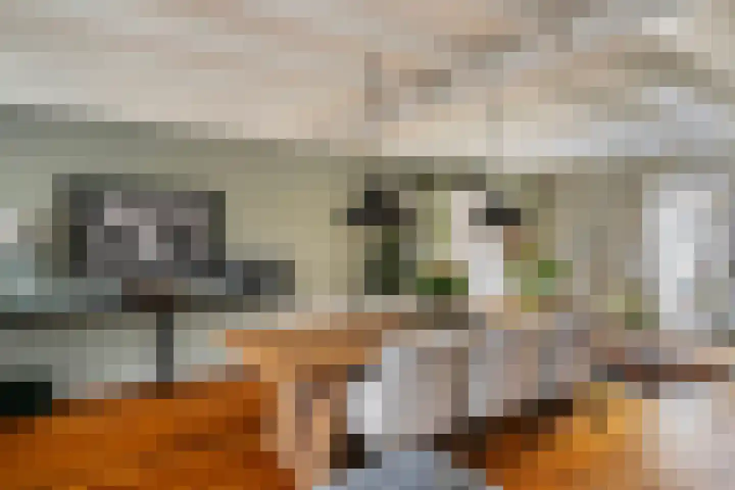 Oirschotseweg 26 Moergestel thumbnail 8