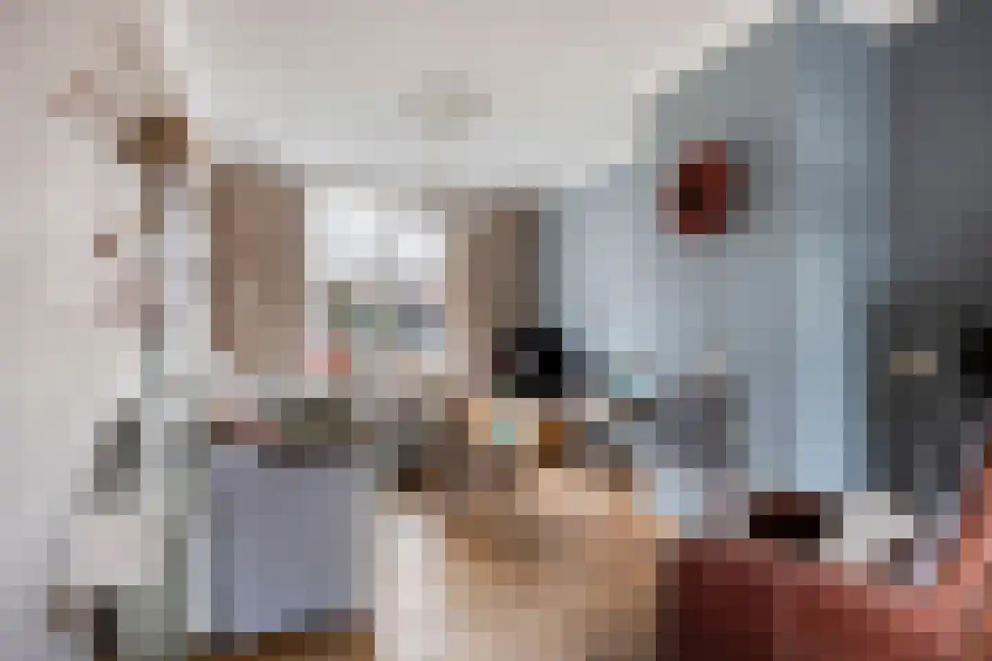 Oirschotseweg 30 Best thumbnail 10