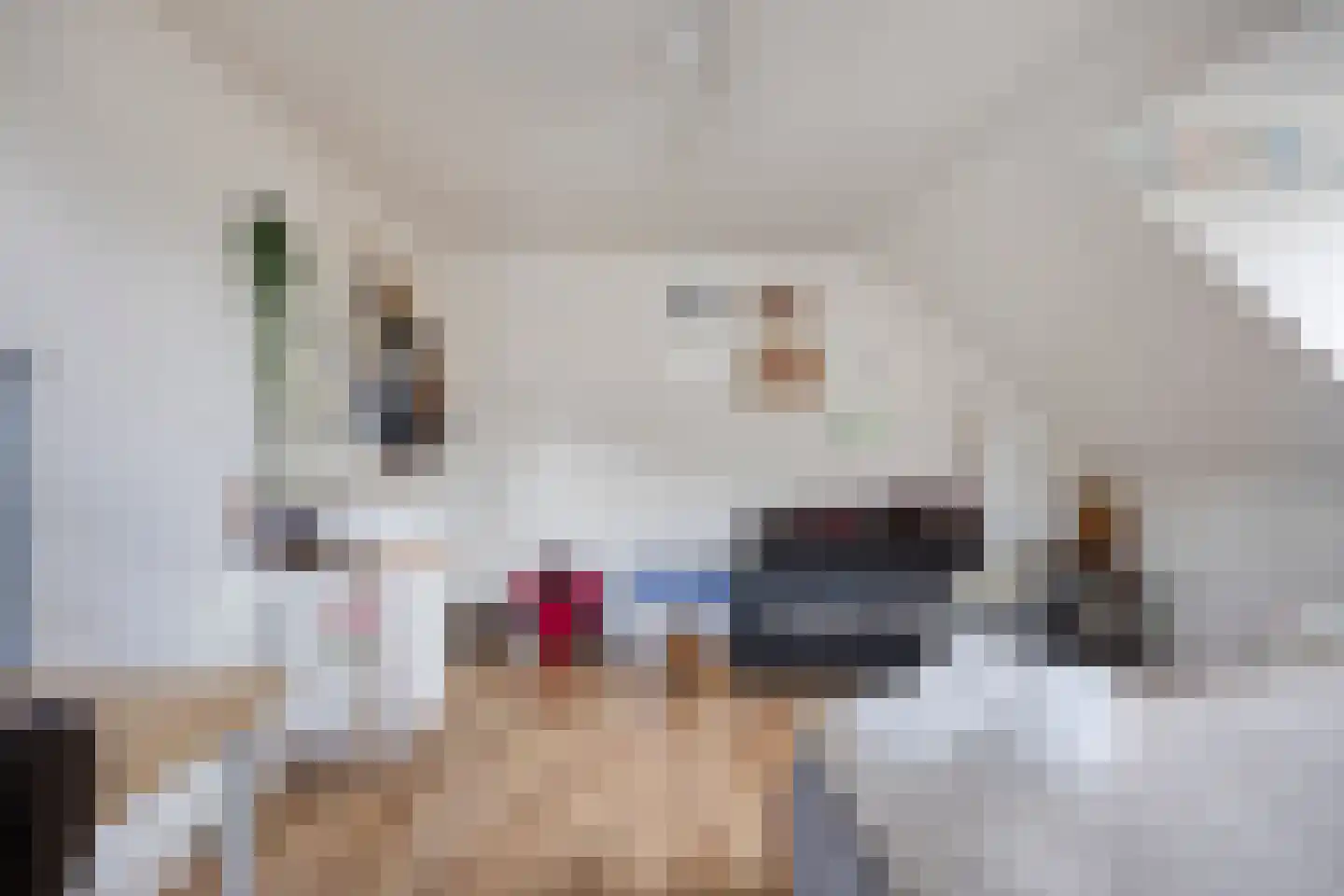 Oirschotseweg 30 Best thumbnail 35
