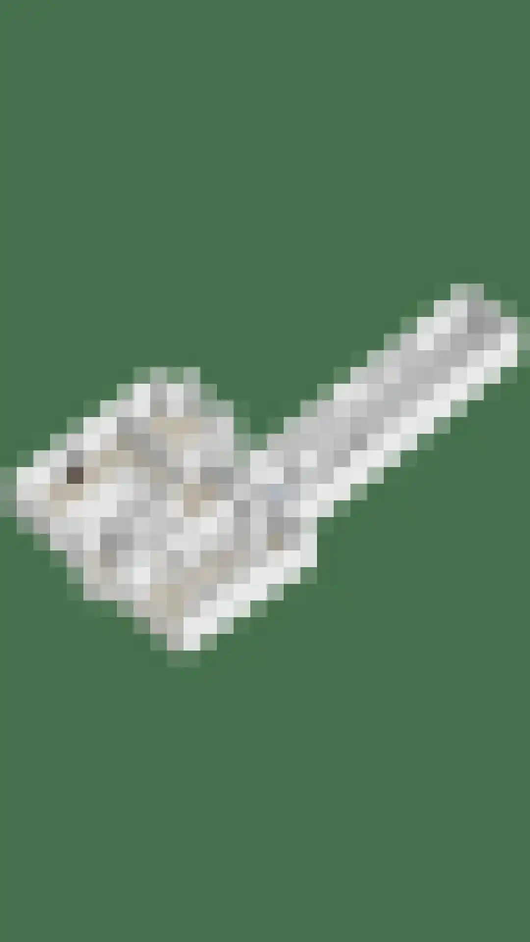 Oirschotseweg 30 Best thumbnail 62