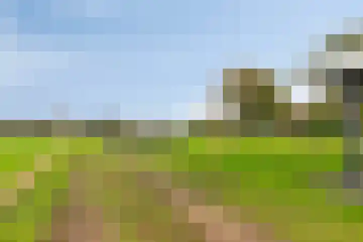 Oirschotseweg 51 Moergestel thumbnail 32