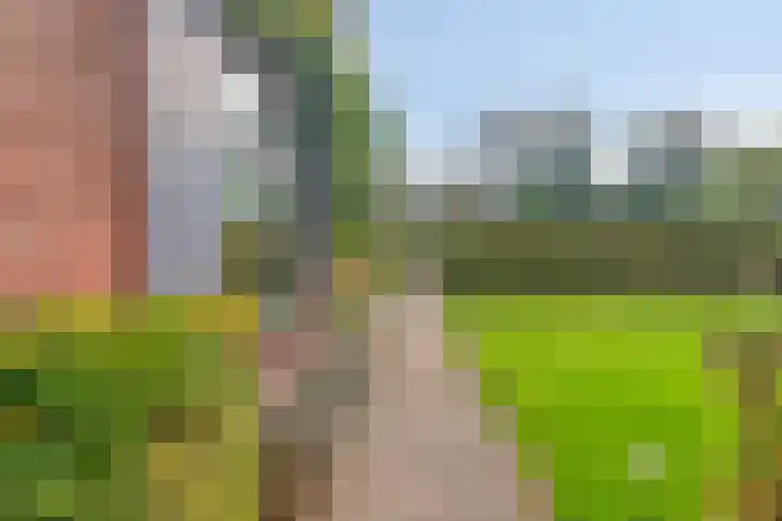 Oirschotseweg 51 Moergestel thumbnail 36
