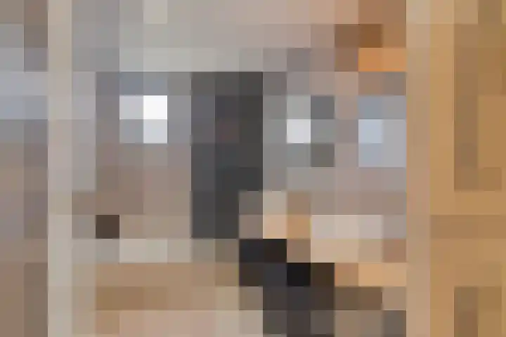 Oirschotseweg 51 Moergestel thumbnail 4