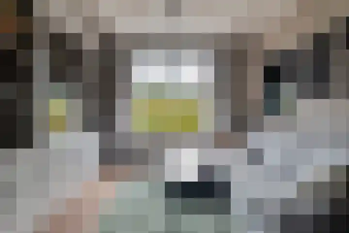 Oirschotseweg 51 Moergestel thumbnail 7