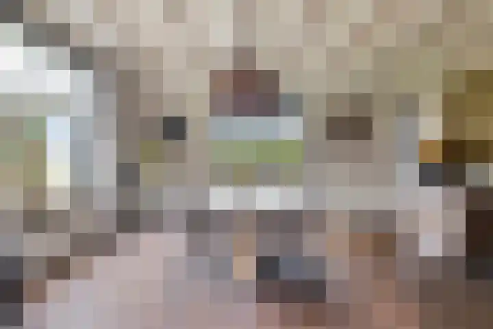 Oirschotseweg 51 Moergestel thumbnail 8