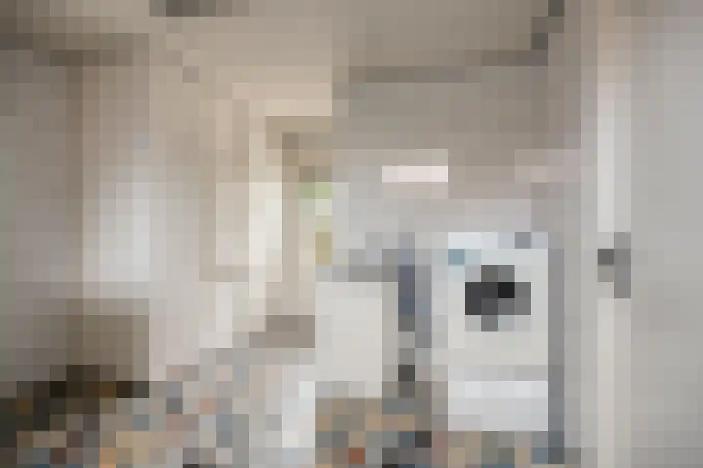 Oirschotseweg 57 Best thumbnail 24