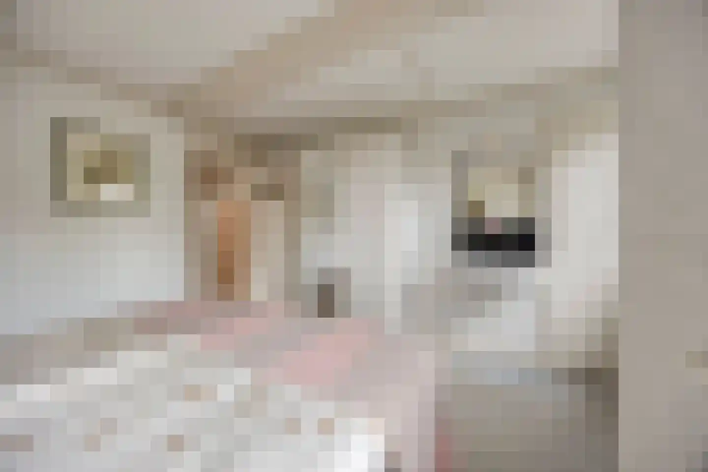 Oirschotseweg 57 Best thumbnail 29