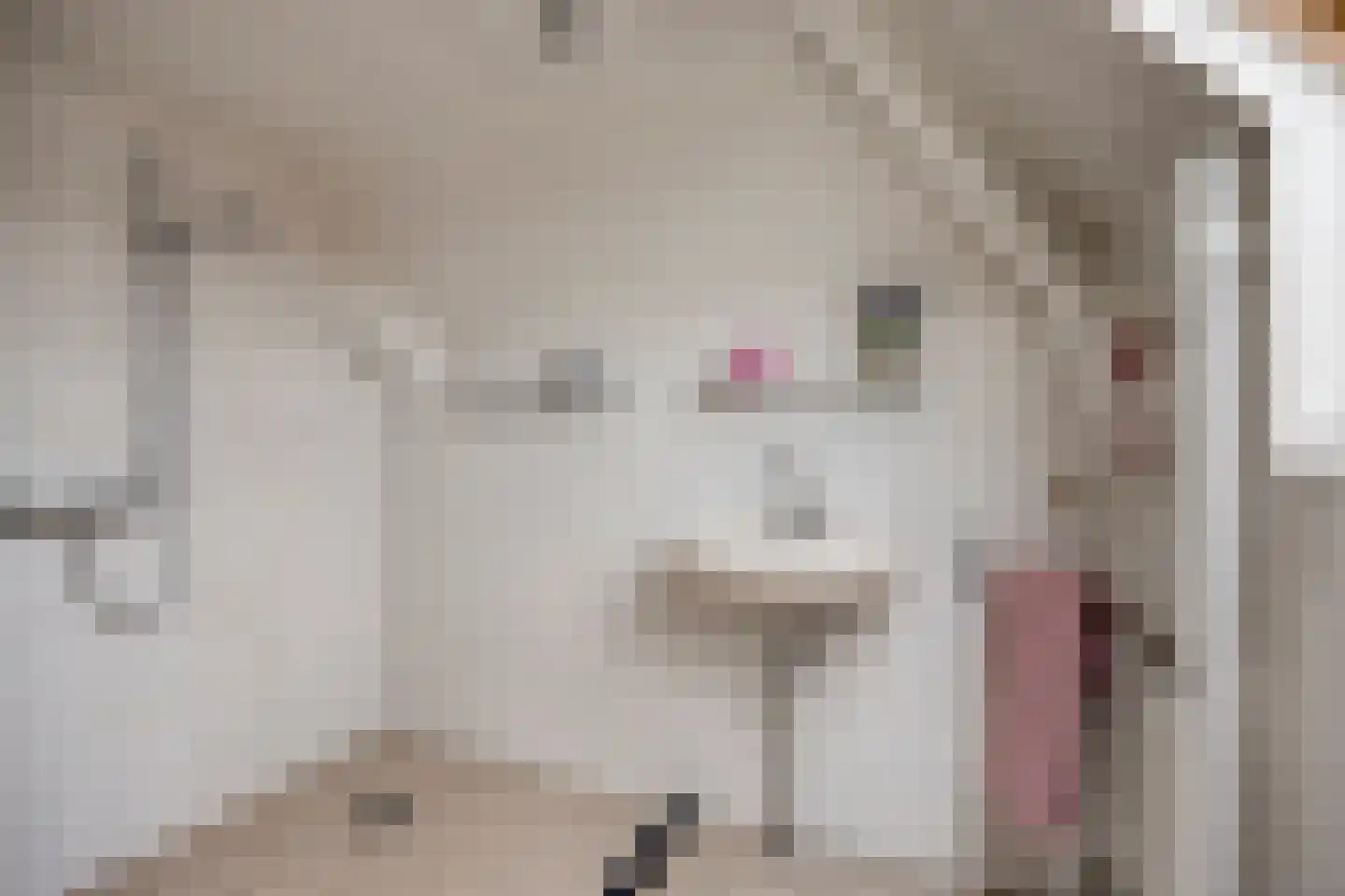 Oirschotseweg 57 Best thumbnail 34