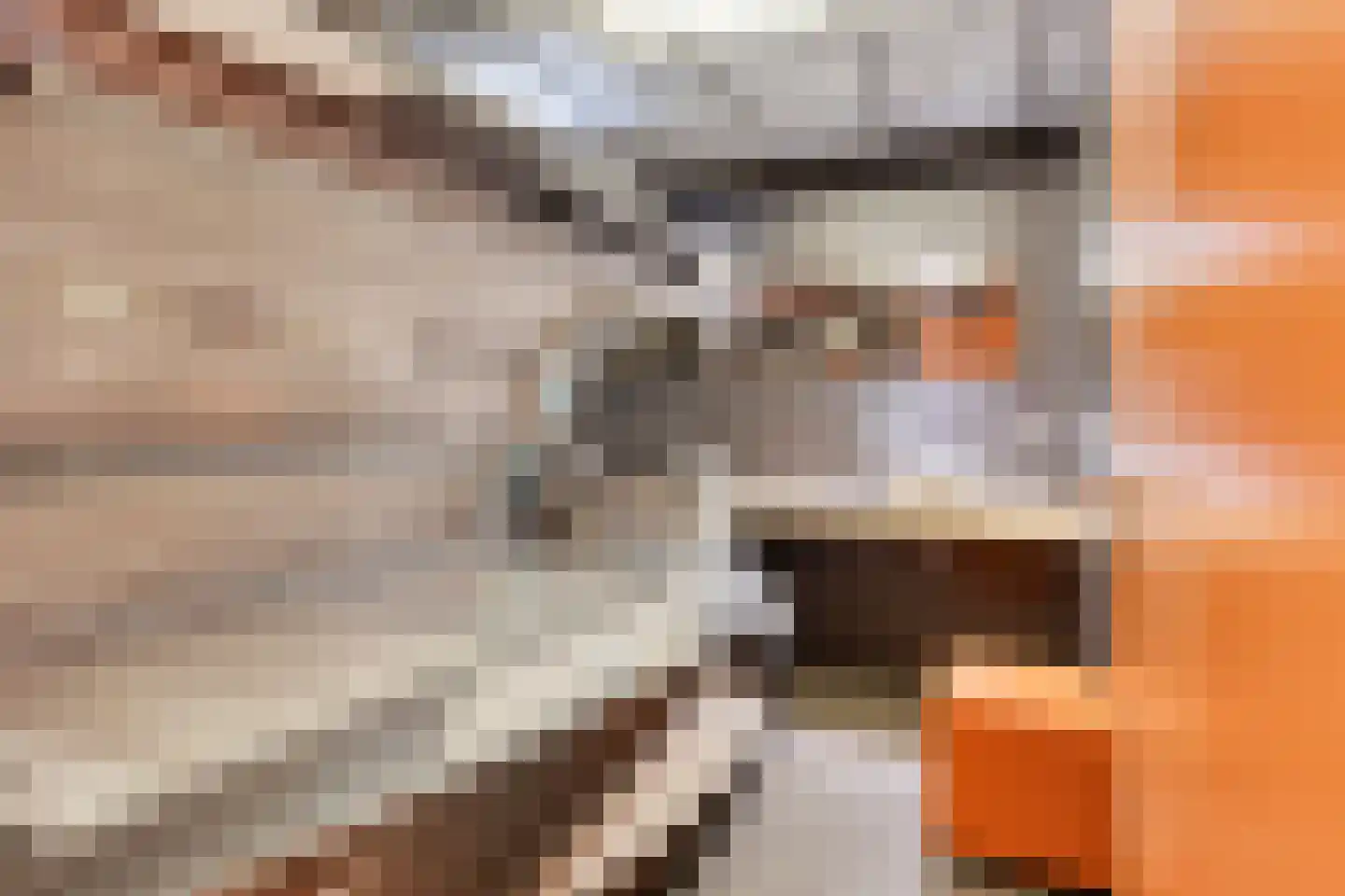 Oirschotseweg 64 Best thumbnail 19