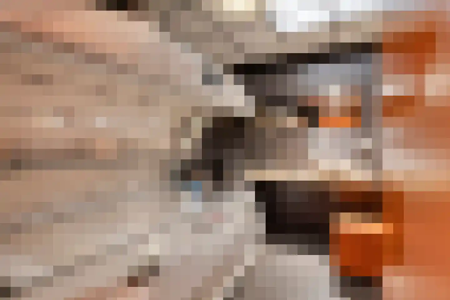 Oirschotseweg 64 Best thumbnail 20