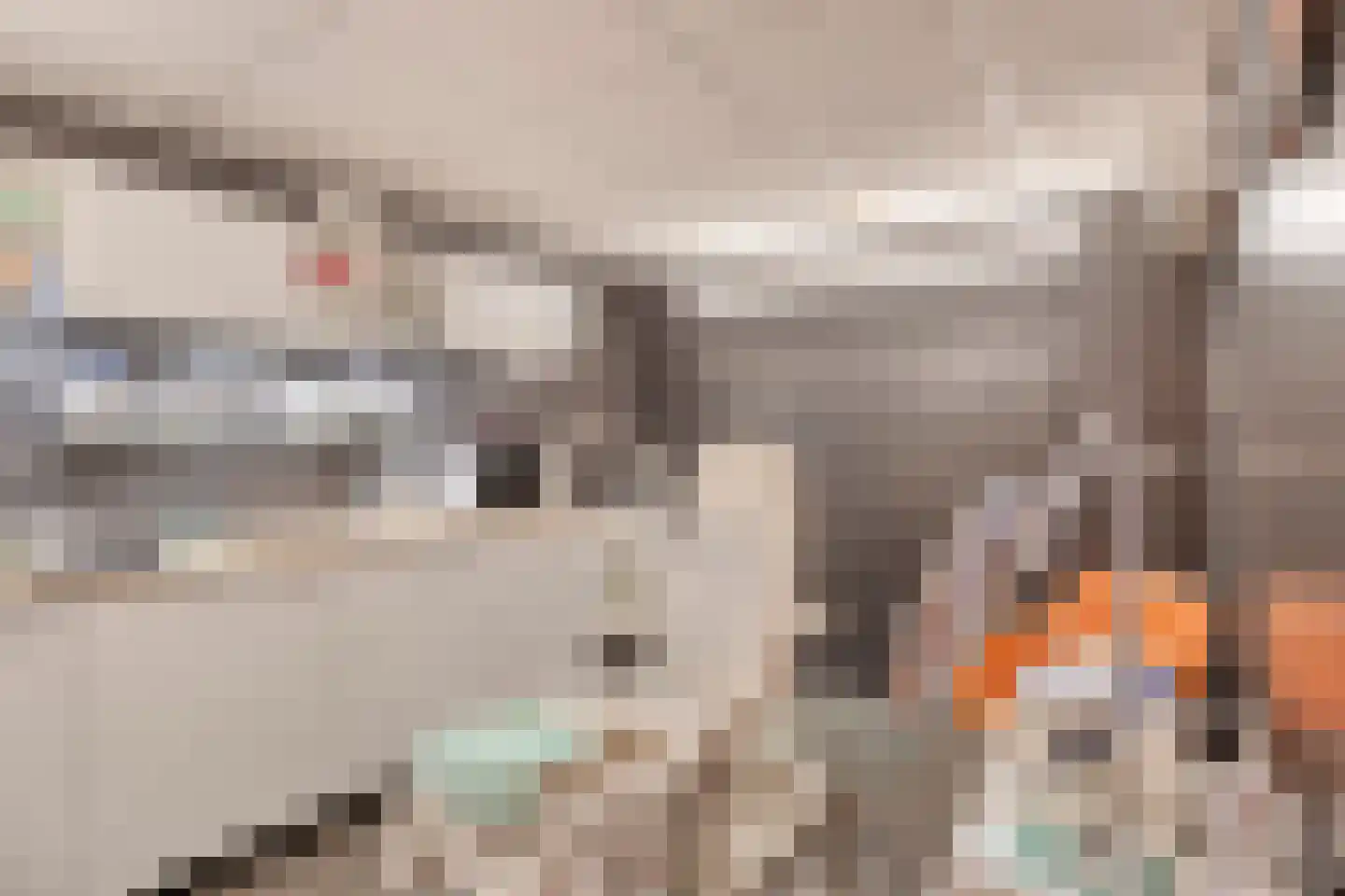 Oirschotseweg 64 Best thumbnail 21