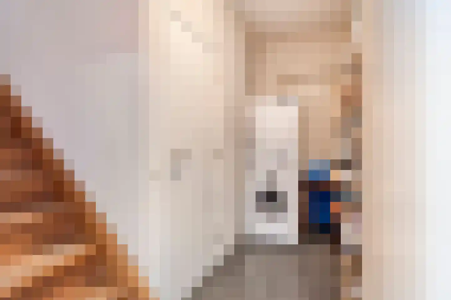 Oirschotseweg 64 Best thumbnail 23