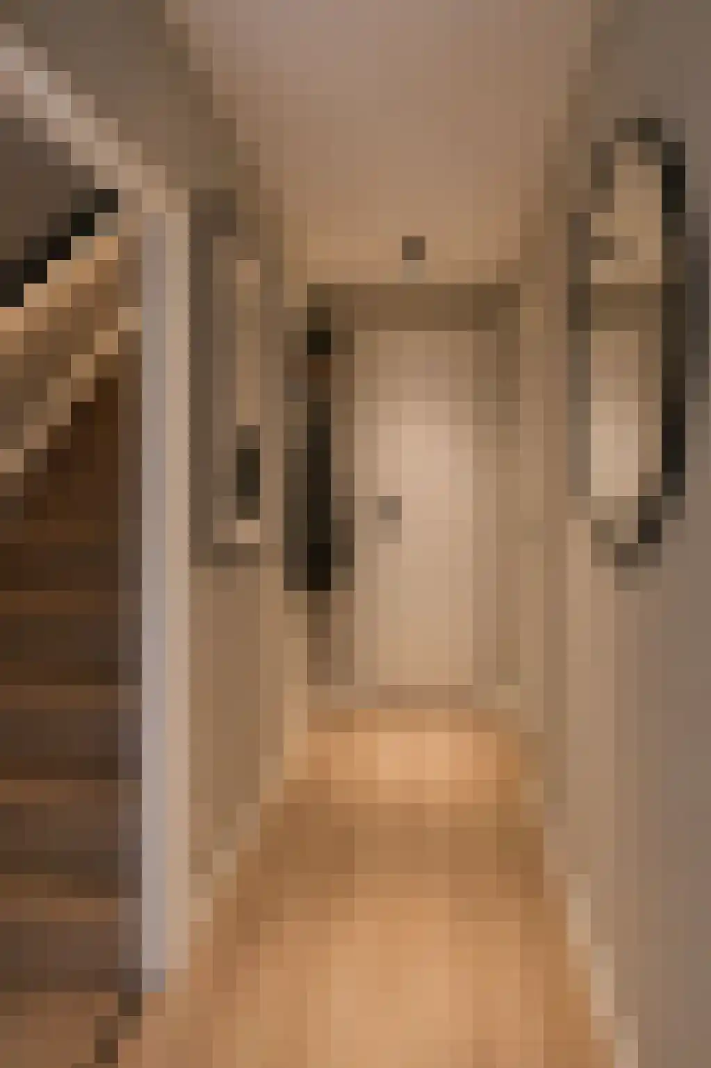 Oirschotseweg 64 Best thumbnail 27