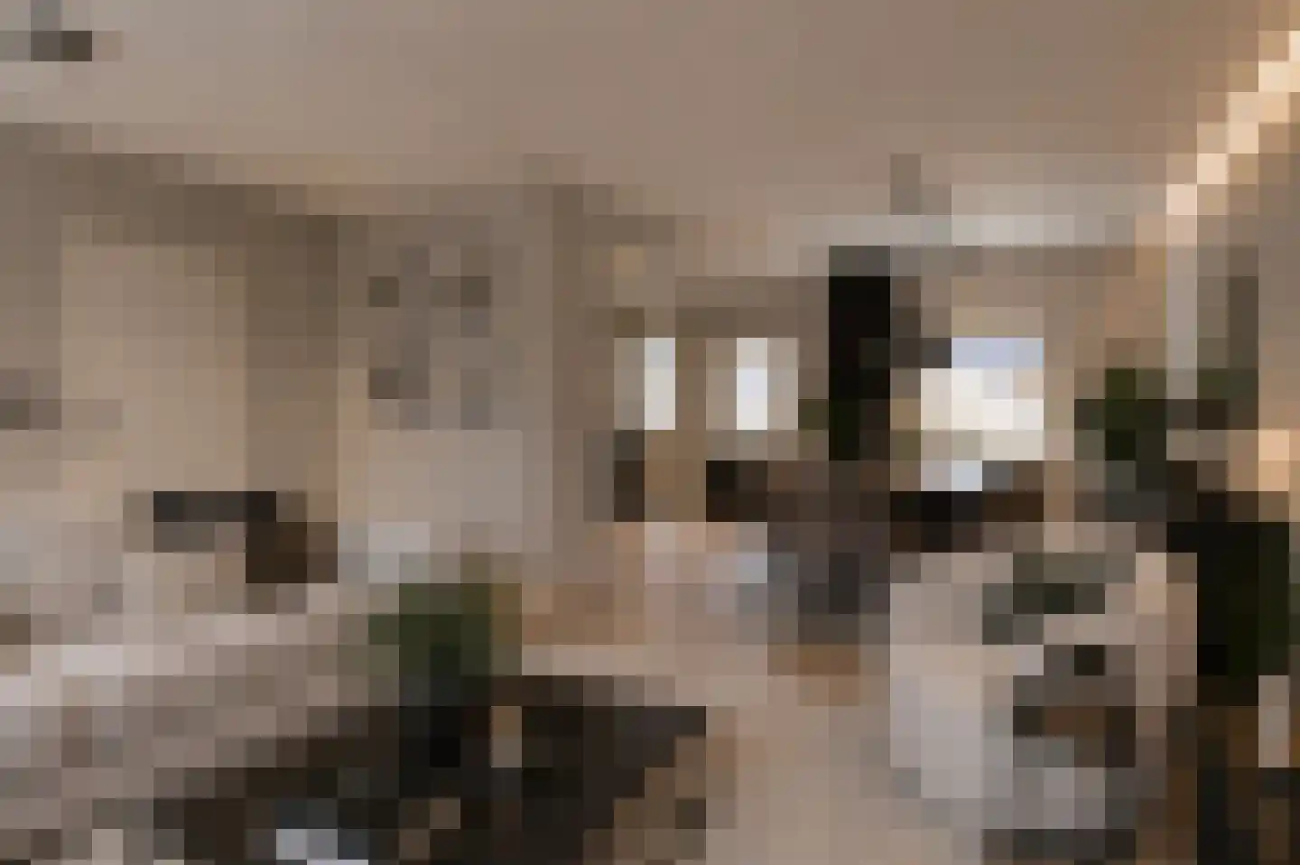 Oirschotseweg 64 Best thumbnail 29