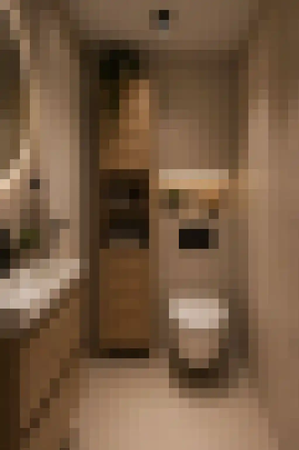 Oirschotseweg 64 Best thumbnail 32